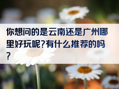 你想问的是云南还是广州哪里好玩呢？有什么推荐的吗？