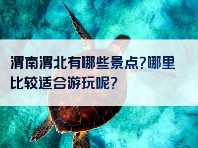 渭南渭北有哪些景点？哪里比较适合游玩呢？