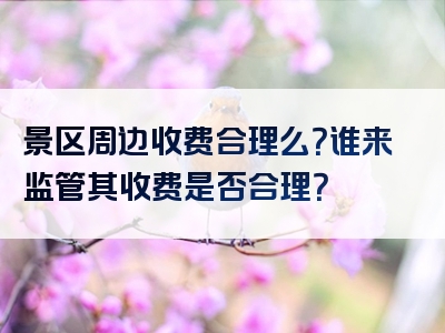 景区周边收费合理么？谁来监管其收费是否合理？