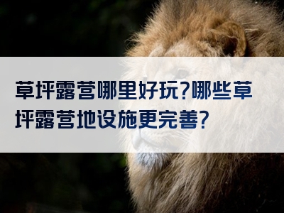 草坪露营哪里好玩？哪些草坪露营地设施更完善？