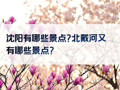 沈阳有哪些景点？北戴河又有哪些景点？