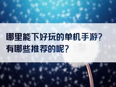 哪里能下好玩的单机手游？有哪些推荐的呢？