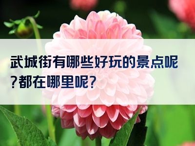 武城街有哪些好玩的景点呢？都在哪里呢？