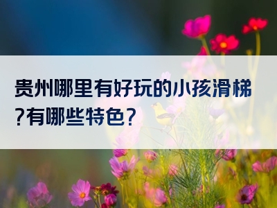 贵州哪里有好玩的小孩滑梯？有哪些特色？