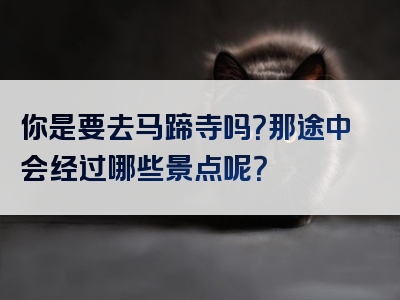 你是要去马蹄寺吗？那途中会经过哪些景点呢？