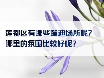 莲都区有哪些蹦迪场所呢？哪里的氛围比较好呢？