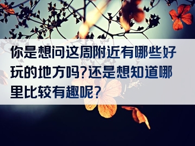 你是想问这周附近有哪些好玩的地方吗？还是想知道哪里比较有趣呢？