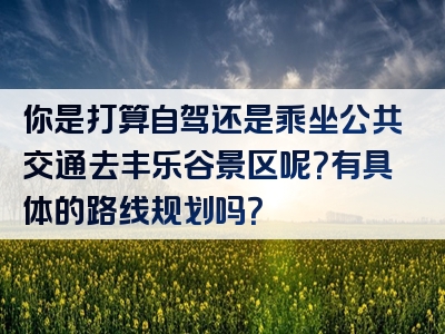 你是打算自驾还是乘坐公共交通去丰乐谷景区呢？有具体的路线规划吗？