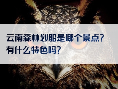 云南森林划船是哪个景点？有什么特色吗？