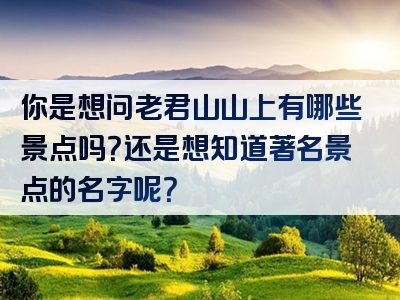 你是想问老君山山上有哪些景点吗？还是想知道著名景点的名字呢？