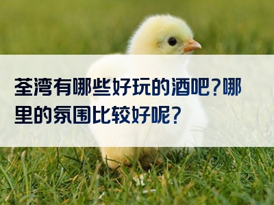 荃湾有哪些好玩的酒吧？哪里的氛围比较好呢？