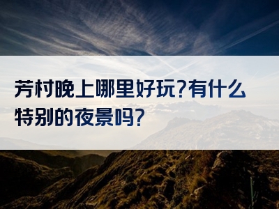 芳村晚上哪里好玩？有什么特别的夜景吗？