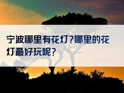 宁波哪里有花灯？哪里的花灯最好玩呢？