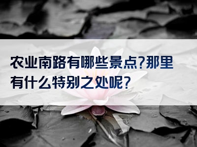 农业南路有哪些景点？那里有什么特别之处呢？