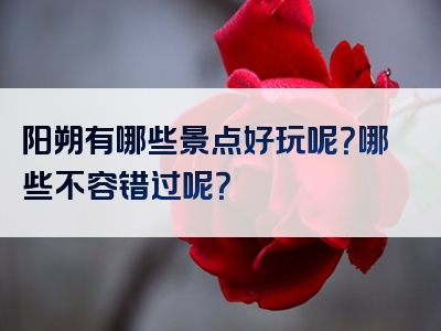 阳朔有哪些景点好玩呢？哪些不容错过呢？