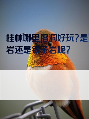 桂林哪里溶洞好玩？是芦笛岩还是银子岩呢？