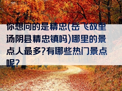 你想问的是精忠（岳飞故里汤阴县精忠镇吗）哪里的景点人最多？有哪些热门景点呢？