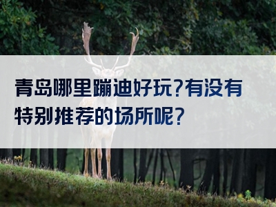 青岛哪里蹦迪好玩？有没有特别推荐的场所呢？