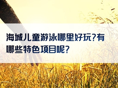 海城儿童游泳哪里好玩？有哪些特色项目呢？
