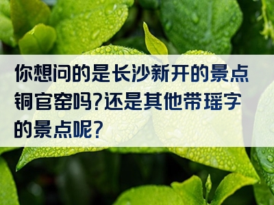 你想问的是长沙新开的景点铜官窑吗？还是其他带瑶字的景点呢？