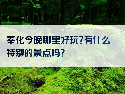 奉化今晚哪里好玩？有什么特别的景点吗？