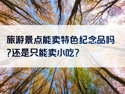 旅游景点能卖特色纪念品吗？还是只能卖小吃？
