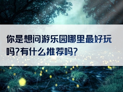 你是想问游乐园哪里最好玩吗？有什么推荐吗？