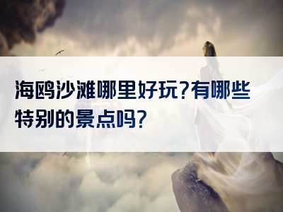 海鸥沙滩哪里好玩？有哪些特别的景点吗？