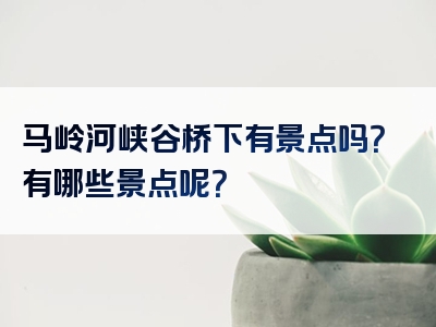 马岭河峡谷桥下有景点吗？有哪些景点呢？