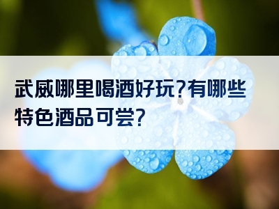 武威哪里喝酒好玩？有哪些特色酒品可尝？