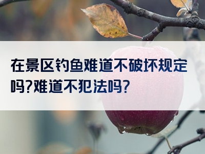 在景区钓鱼难道不破坏规定吗？难道不犯法吗？