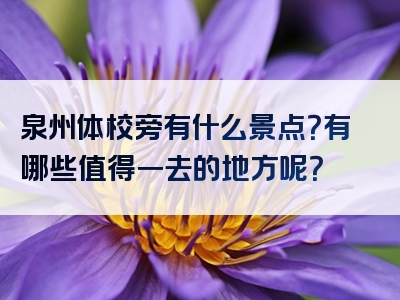 泉州体校旁有什么景点？有哪些值得一去的地方呢？
