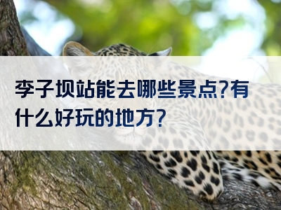 李子坝站能去哪些景点？有什么好玩的地方？