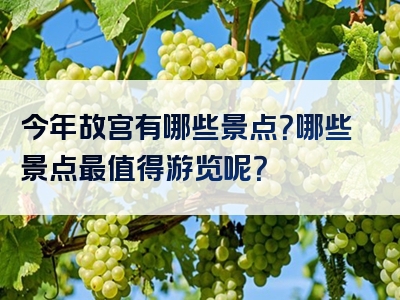 今年故宫有哪些景点？哪些景点最值得游览呢？