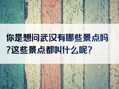 你是想问武汉有哪些景点吗？这些景点都叫什么呢？