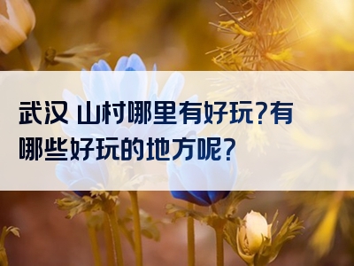 武汉奓山村哪里有好玩？有哪些好玩的地方呢？