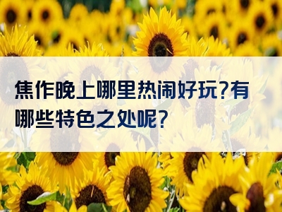 焦作晚上哪里热闹好玩？有哪些特色之处呢？