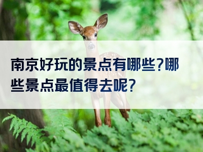 南京好玩的景点有哪些？哪些景点最值得去呢？