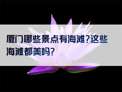 厦门哪些景点有海滩？这些海滩都美吗？