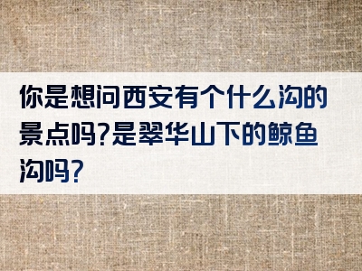 你是想问西安有个什么沟的景点吗？是翠华山下的鲸鱼沟吗？