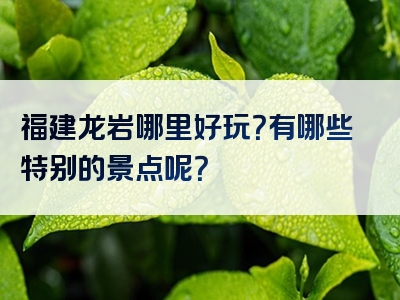福建龙岩哪里好玩？有哪些特别的景点呢？