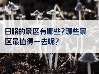 日照的景区有哪些？哪些景区最值得一去呢？