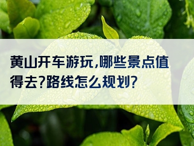 黄山开车游玩，哪些景点值得去？路线怎么规划？