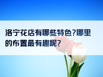 洛宁花店有哪些特色？哪里的布置最有趣呢？