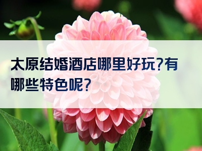 太原结婚酒店哪里好玩？有哪些特色呢？