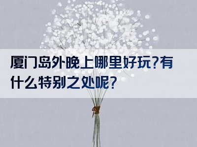 厦门岛外晚上哪里好玩？有什么特别之处呢？
