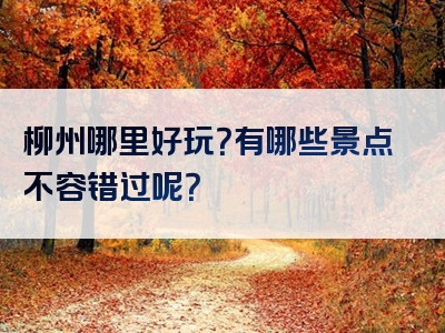 柳州哪里好玩？有哪些景点不容错过呢？