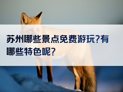 苏州哪些景点免费游玩？有哪些特色呢？