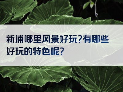 新浦哪里风景好玩？有哪些好玩的特色呢？