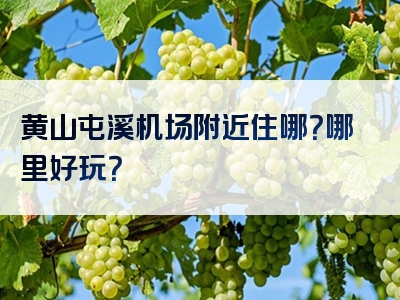 黄山屯溪机场附近住哪？哪里好玩？